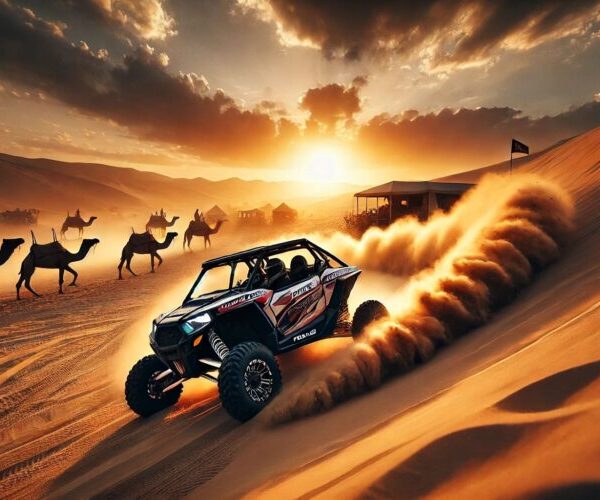 Quad Bikes and Dune Buggy  (Inside the Circle)
