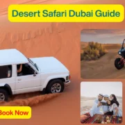 Desert Safari Dubai Guide