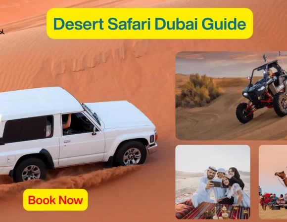 Desert Safari Dubai Guide: What to Expect & The Best Things to Do