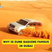 Why is Dune Bashing Famous in Dubai